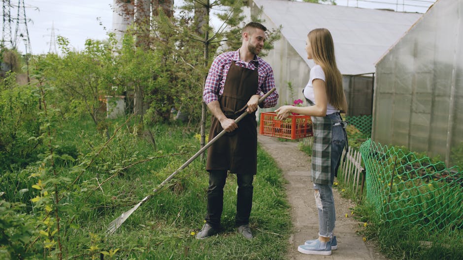 A man and a woman stand in a lush garden, engaged in a conversation about gardening work. The man, wearing a checkered shirt, black trousers, and a brown apron, holds a long-handled rake, with trimmed grass and a small patch of soil nearby. The woman, dressed in a white t-shirt and ripped jeans, holds a small flower pot and listens attentively. The garden features a variety of green plants, shrubs, and tall trees, with a narrow concrete path running through it. Behind them, there are greenhouses and a green plastic mesh fence enclosing part of the garden. Gardening tools and flower crates can be seen in the background, indicating active outdoor maintenance. The area is illuminated by natural daylight, highlighting the textures of the wet soil, neatly cut grass, and the vibrant leaves of the plants. This scene exemplifies garden maintenance and landscaping work supported by Gardeners Camden, emphasizing professional outdoor care without hidden fees.